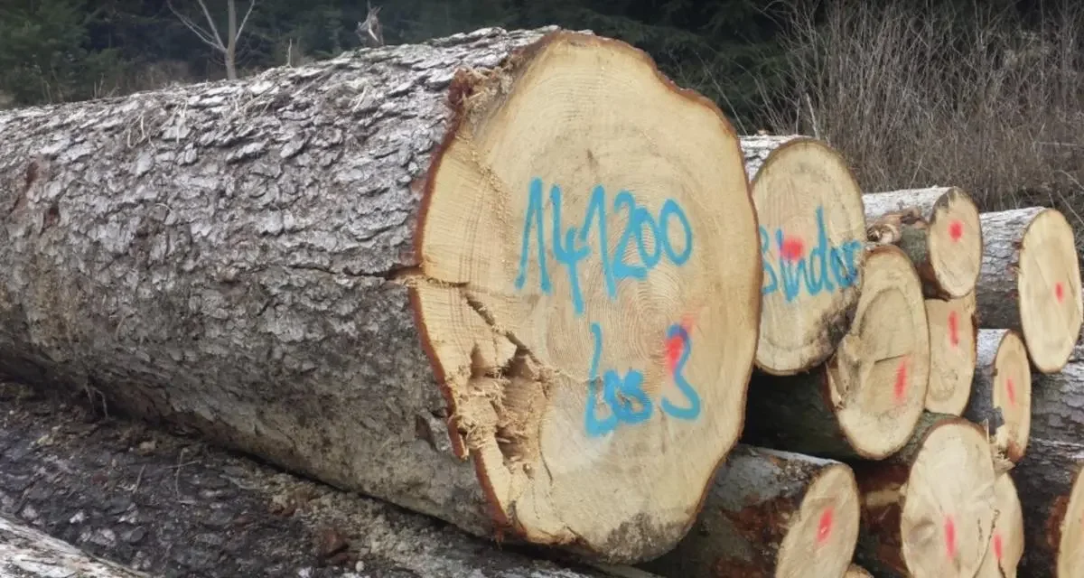 Avec un tronc d’arbre comme voiture bélier, les voleurs volent pour 500 000€ de bijoux