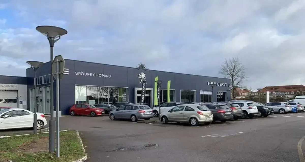 Un concessionnaire automobile met une IA pour sa relation client : elle lui fait perdre 7000€