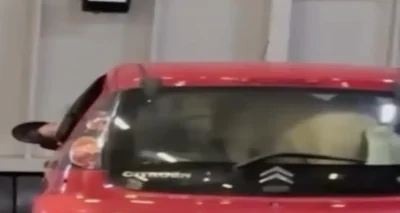 Ils embarquent sur un ferry avec un poney… installé dans une Citroën C1
