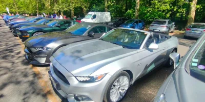 Gers : Le circuit Paul-Armagnac s'apprête à accueillir le Mustang Day avec des centaines d'exemplaires
