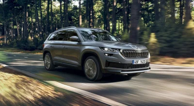 Occasion : un Skoda Kodiaq à moins de 22 000 €