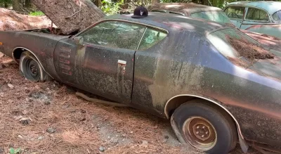 Un ancien Marine sauve une Dodge Charger Rallye de 1972 abandonnée depuis 1989 et doit la laver cinq jours à haute pression