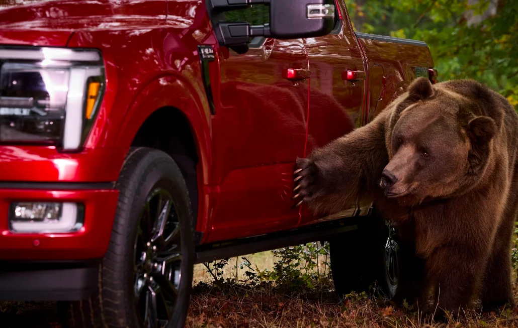 Ford engage un ours pour montrer la résistance de son F-150