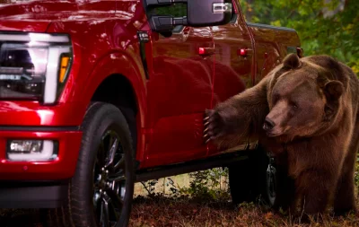 Ford engage un ours pour montrer la résistance de son F-150