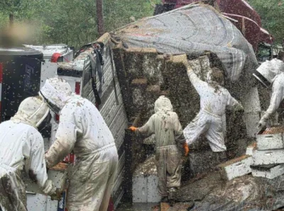 Texas : Un camion transportant 2 millions d'abeilles se renverse