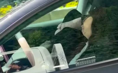 Canada : Elle trompe l'autopilot de sa Tesla avec des lunettes de soleil et dort au volant, à 100 km/h
