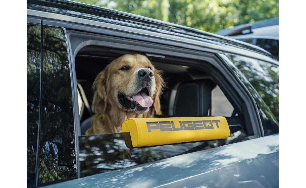 Peugeot E-5008 Dog Edition : une édition qui a du chien !