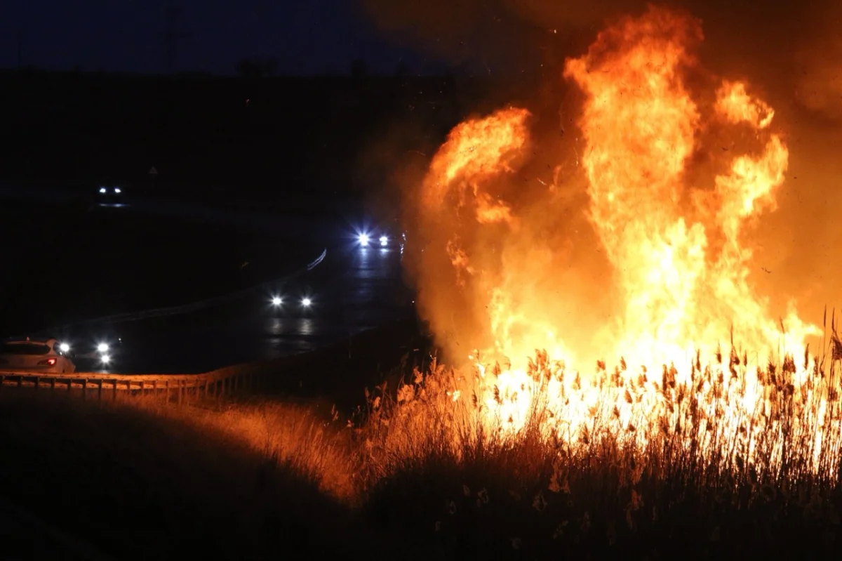 Bloqué dans votre voiture face à un feu de forêt : faut-il rester à bord ou sortir ?