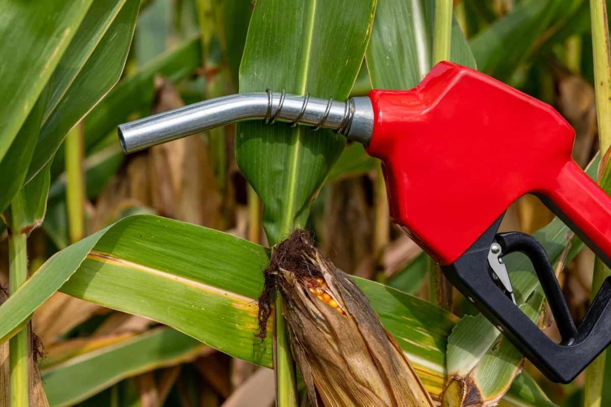 Pourquoi ce nouveau carburant renouvelable à l'essai en conditions réelles pourrait être une bonne nouvelle ?