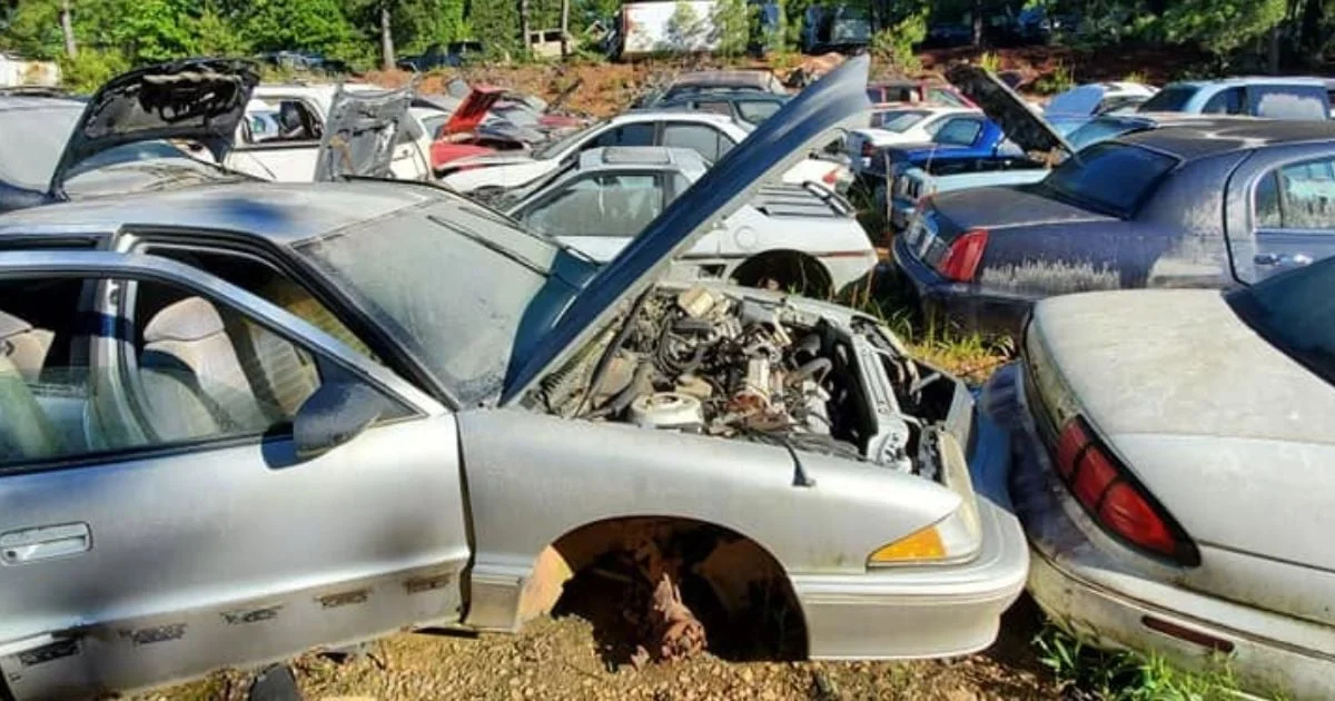 Cette casse de 1000 voitures cache une rare Volkswagen Coccinelle ovale à Auburn