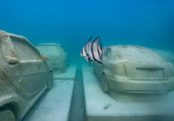 Ils jettent des camions et des wagons de métros à la mer... pour des raisons écologiques