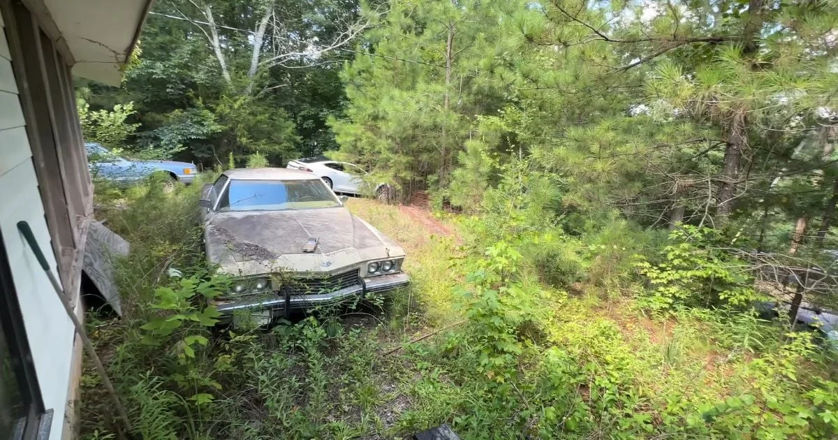 Un manoir abandonné transformé en cimetière de Pontiac GTO et Chevrolet Chevelle