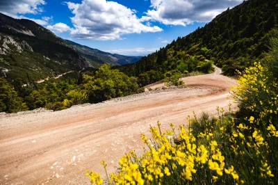 L’œil d’Alexandre Coria : « Du balayage et encore du balayage » au Rallye de Grèce