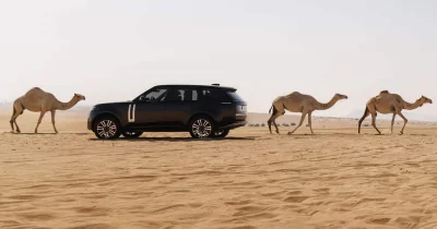 Prix du Range Rover électrique : une stratégie risquée ?