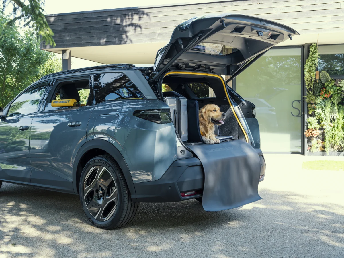 Peugeot adapte son 5008 électrique pour les propriétaires de chiens !