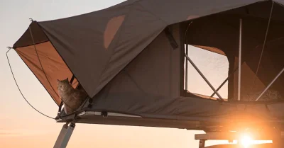 Tente de toit : la vanlife pas chère fait à nouveau son festival