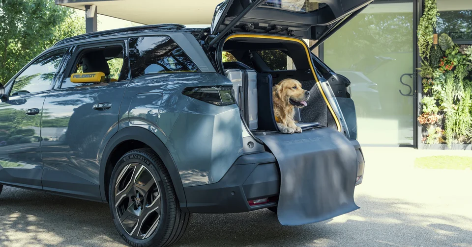 Peugeot présente la « Rolls » des SUV pour chiens, le E-5008 Dog Concept