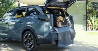 Peugeot présente la « Rolls » des SUV pour chiens, le E-5008 Dog Concept