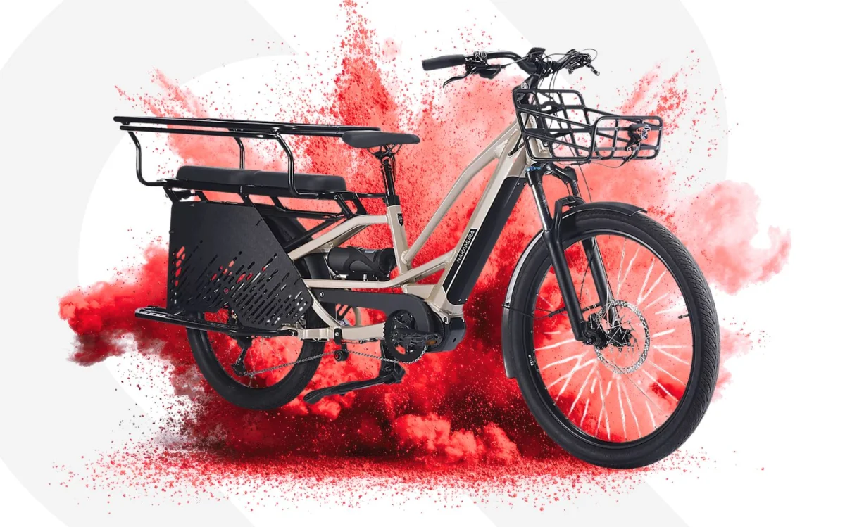 Ce vélo cargo électrique Intersport perd 500 € : un vrai concurrent à la voiture du quotidie