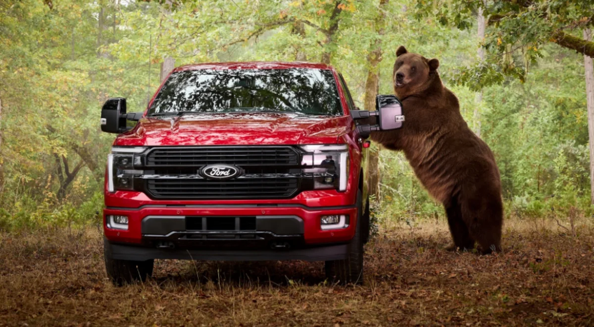 Ford teste son F-150 face à un ours Kodiak
