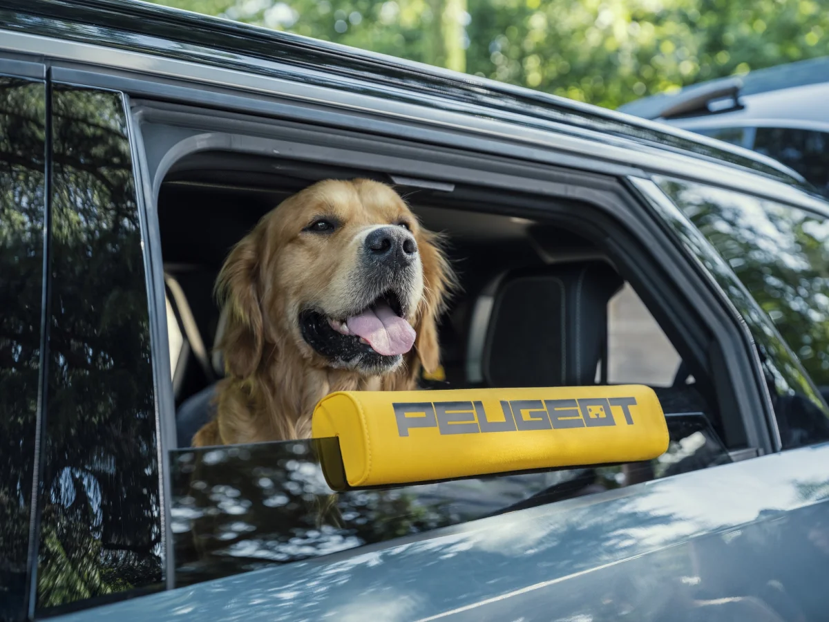 Peugeot e-5008 Dog Edition Concept : SUV qui met enfin le chien au centre du voyage en voiture