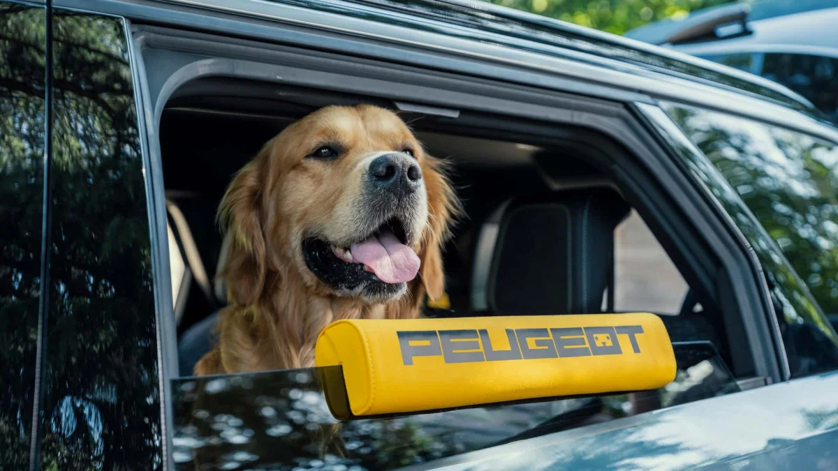 Peugeot E-5008 Dog Edition : une édition qui a du chien