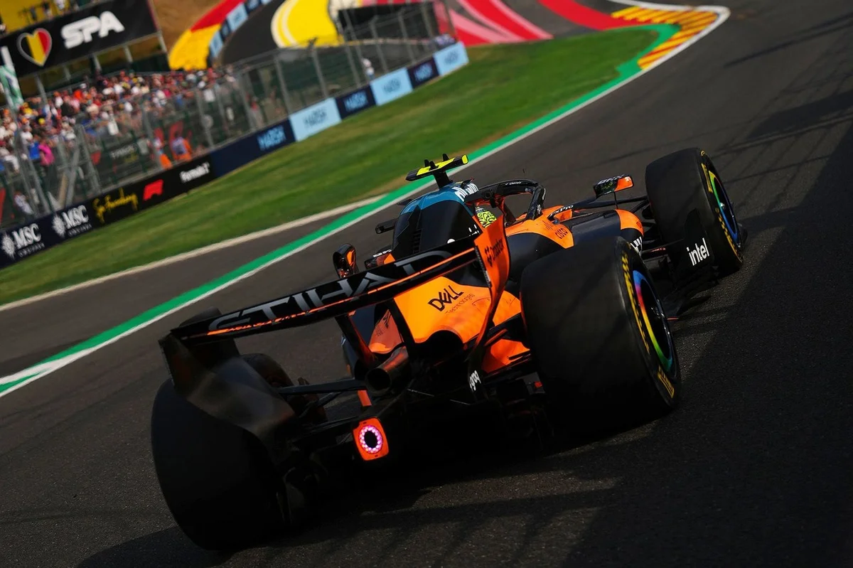 McLaren n'a reçu les outils de simulation de son moteur Mercedes qu'à la mi-saison
