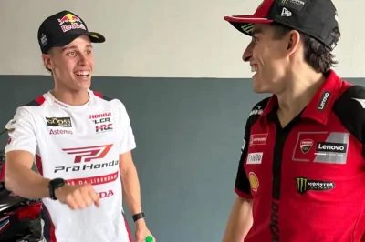 MotoGP, Mugello J2, Diogo Moreira (Honda/10) savoure : « Je devais absolument dépasser Marc Márquez une fois dans ma carrière »