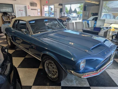 Shelby GT500 KR cabriolet 1968 : vendu aux enchères, ce modèle rarissime présente deux défauts qui pourraient refroidir les collectionneurs pointilleux