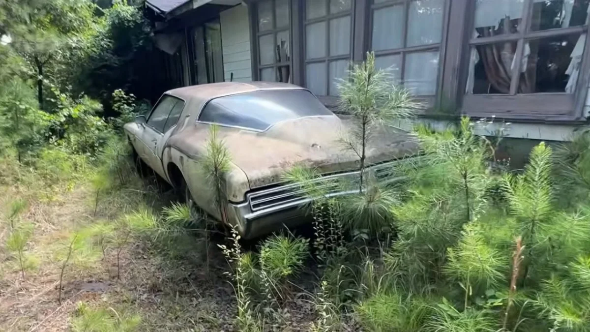 Pontiac GTO, Chevelle, Challenger… ce manoir abandonné renferme une casse automobile hors du commun